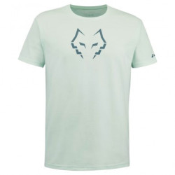 Babolat camiseta algodon lebron verde