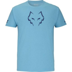 Babolat camiset Cotton lebron cyan
