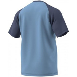 Adidas camiseta Ashblu