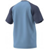 Adidas camiseta Ashblu